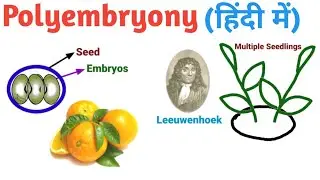 Polyembryony in Hindi (हिंदी में) | Pravin Bhosale