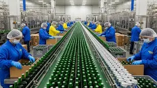 Inside the Industrial Brewery: From Grain to Beer (Full Process)