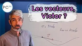 Vecteurs en physique chimie : exemples avec la vitesse et la force