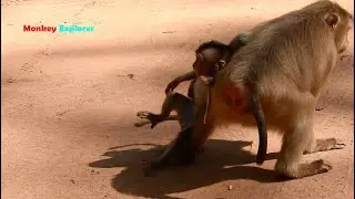 Aw, Very pitiable adorable baby Rex crying seizure so angry mom grabbing him not let playing free.