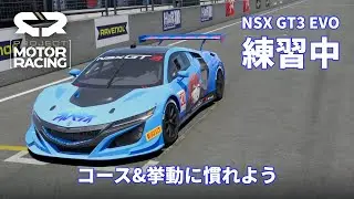 [ニュルブルクリンク(北コース)] AI鬼ごっこ - NSXで練習中【Project Motor Racing】