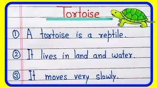10 lines on tortoise or turtle in English | Essay on tortoise | Turtle essay writing