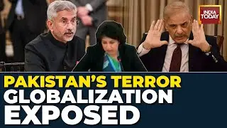 India Rips Part Pakistan's Hypocrisy At UN Human Rights Council, Seeks Action Against Islamabad