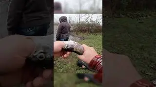 Как быстро разделаться с рыбой