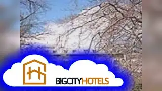 BigCityHotels &bull; Review The Fitzwilliam Hotel
