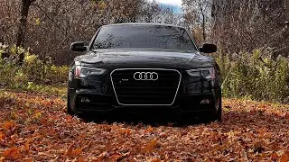 ONTARIO BEST DRIVING ROADS #1 |  RIVER RD