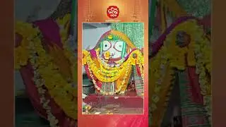 ପାରଳାଖେମୁଣ୍ଡି ସ୍ଥିତ ଜଗନ୍ନାଥଙ୍କ ସନ୍ଧ୍ୟା ଆଳତି ଦର୍ଶନ #sandhyaalati #jagannathmahaprabhu #bhaktiodisha