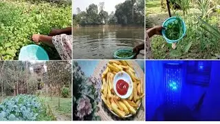 সকাল দুপুর সন্ধ্যে বেলায়।। আজ আমার সারাটা দিন।। Life of Peu 