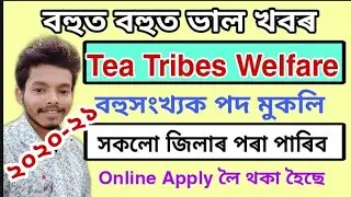 Tea Tribes Welfare Assam Recruitment - All Districts Of Assam / Apply Online Start // TK ASSAMESE