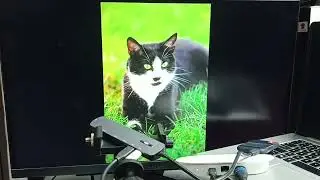 How to Connect SanDisk SSD Hard Drive to Google TV Streamer 4K and Transfer Files, Photos & Videos