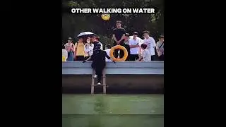 Walking on Water 🤯🌊! | #edit #phonk #funk #fyp | Ritmo Zelda Slowed