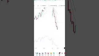 Today market