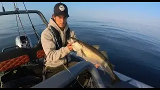 UK Reef Fishing Big Pollack and Bream in South Cornwall