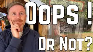 What I Wish I Knew Before Buying PSA 10 Goats Like Tom Brady