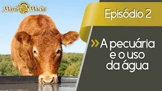 Quebrando Paradigmas (Ep. 2) A pecuária e o uso da água (beef cattle production and water use)