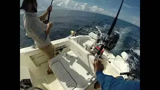 Blackfin bite Oregon Inlet, NC