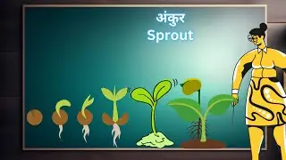Plant Vocabulary