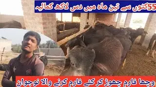 Intelligent Katta Farm Business||Katta Farming Business Punjab Pakistan...