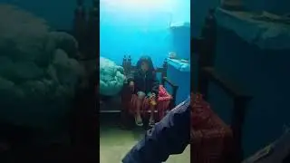 Kamla family pagal 🤡😂 Ho Gaye Shimla se Mili 🤣🤣🤣💯 comedy #funny