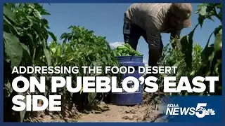A plan is being put together to help with a food desert on Pueblo's east side