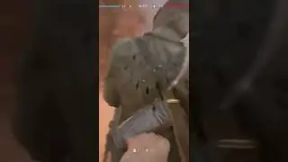 Bayonets are the best