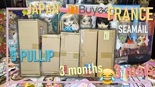 Pullip Doll Opening!! Seamail from Japan | Doll Collector