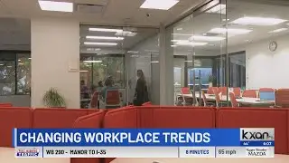 Startups fill up co-working spaces in Austin