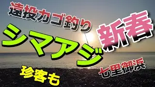 2025年お正月、真冬の七里御浜で今年の釣果を占いました！　遠投カゴ釣りで攻略。釣果は　シマアジ！　そして珍客。