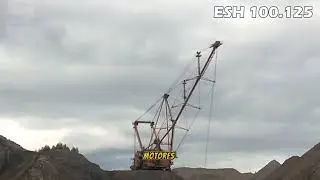 Top 10 : Las dragalinas m&aacute;s grandes del mundo.