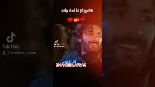 shaheen afsar