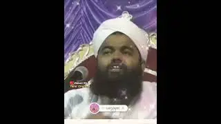 Aurat Ka Parda? Sayyed Aminul Qadiri What's Up Status #shorts