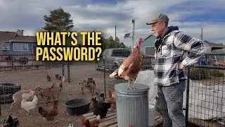 Kevin Guards The Scratch Can (Full Version)