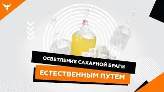 Осветление сахарной браги естественным путем