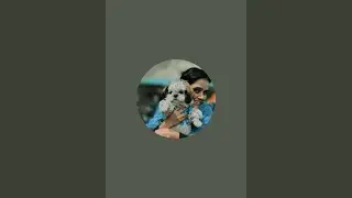 Juhi Ojha is live(shihtzu ki masti 