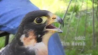 Mass Wildlife Open House 2017