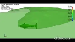 FSI Simulation Ls-Dyna | Dolphin in Ocean| FEA| ALE|