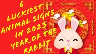 6 LUCKIEST CHINESE ANIMAL ZODIAC SIGNS 2023 YEAR OF THE RABBIT WEALTH CAREER LOVE HEALTH