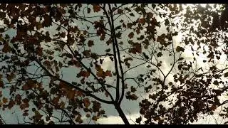Khubsurat hawa, tip, tip barish ki bunde, aur garajte Aasman