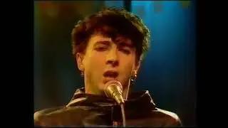 Soft Cell perform 