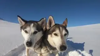 Dog Sledding Sweden Winter 2018 Kings Trail - Abisko to Nikkaluokta near Kiruna