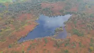 Boretree Tarn, Finsthwaite, UK Lake District