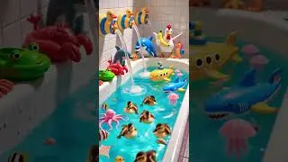 Most HAPPY Duck Setup on YouTube Shorts!&rdquo; #duck #funny #cute #viralvideo #ytshorts #shortsfeed #lol