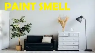 how to get rid of paint smell in a newly painted room