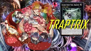 [NEW] TRAPTRIX deck Nov.2022 | Testing new support