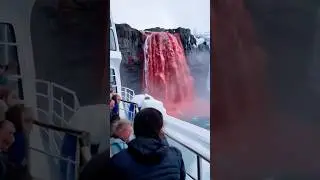🩸This Waterfall in Antarctica Looks Like BLOOD! 😨🚢 #bloodfalls #antarctica #cruiseship #amazing