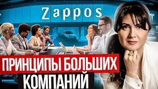 Zappos : История Успеха | Принципы , Страхи , Благотворительность