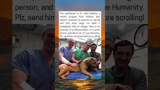 He is a hero #shorts #hero #dog