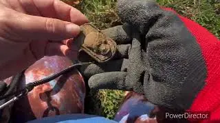 SKULL & ILLEGAL SUBSTANCE FOUND 🫣 - Dirt Digging with Elaine
