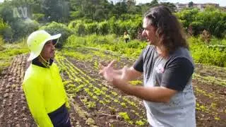 Green Connect Farm on ABC Gardening Australia