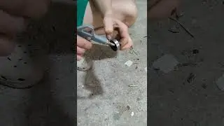 fast bearing spinning with compressed air